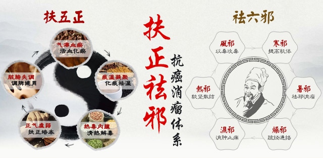 扶正祛邪抗癌消瘤体系